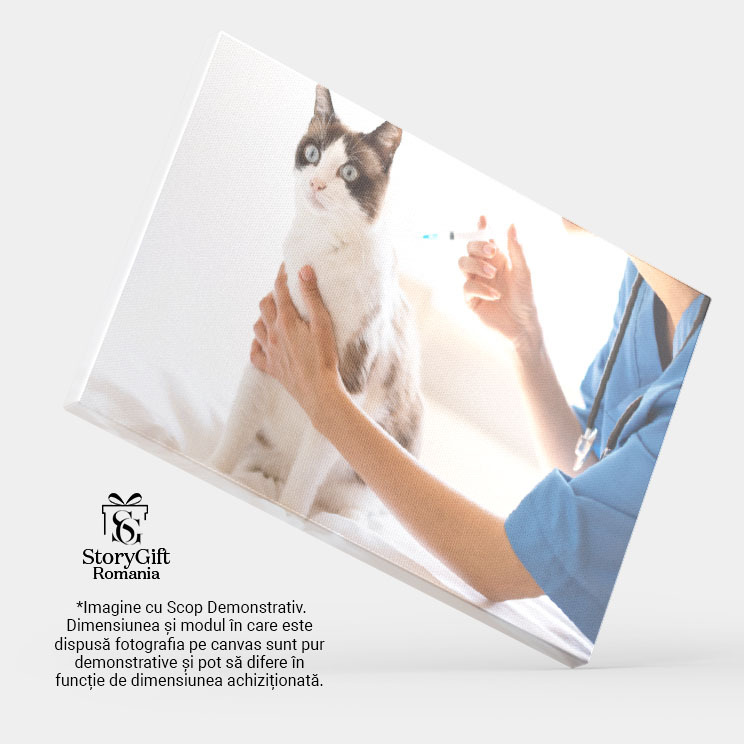 Tablou Canvas - ingrijire Medicala pentru Pisici: Vaccinare si Sanatate 40x25CM [3]