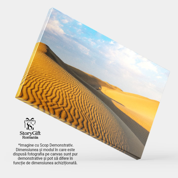 Tablou Canvas - Explorand Misterele si Minunile Desertului Thar din India 40x25CM [3]