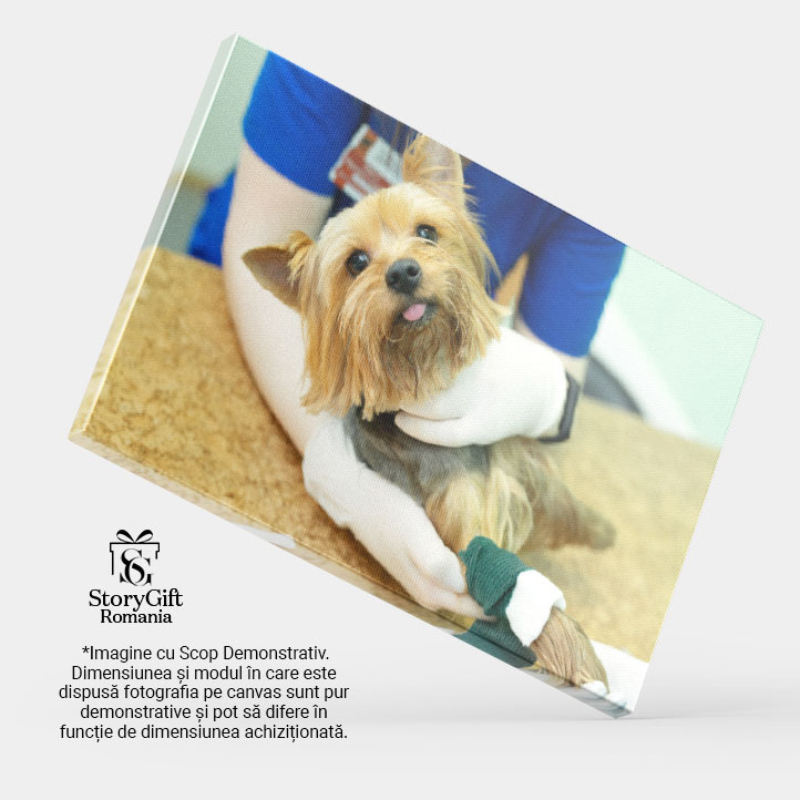 Tablou Canvas: Consultatie la Clinica - Sanatate si Medicina 40x25CM [3]