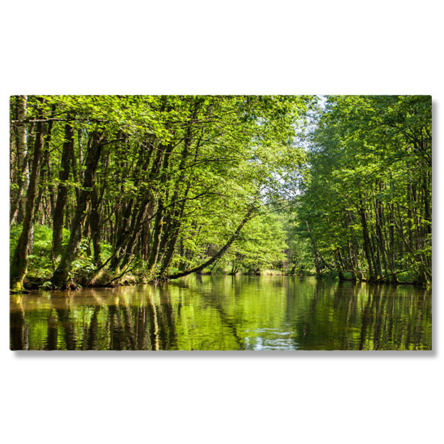 Apă & Natură - Tablou canvas cu rau, padure, copaci, lumina soarelui, verdeata, multicolor 40x25CM