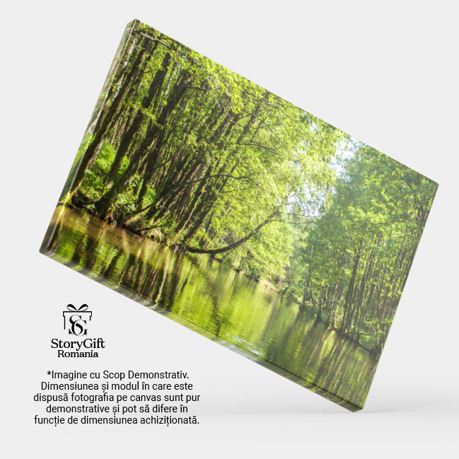 Tablou canvas cu rau, padure, copaci, lumina soarelui, verdeata, multicolor 40x25CM [3]