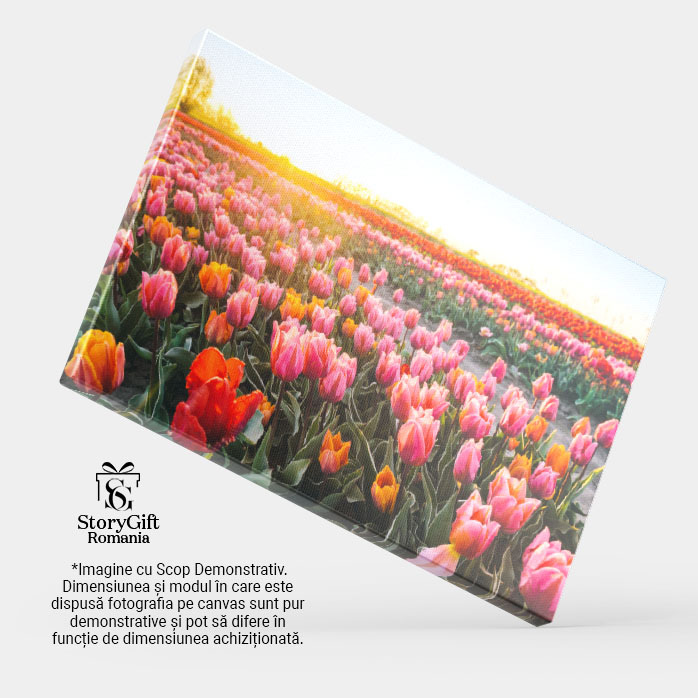 Tablou Canvas: Înfrumuse?area Prim?verii în Agricultur? - Câmpuri Înflorite la Apus în Natur?" 40x25CM [3]