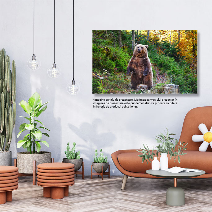 Tablou Canvas: Urs Brun la Plimbare Toamna - intalnire in Padure 40x25CM [2]