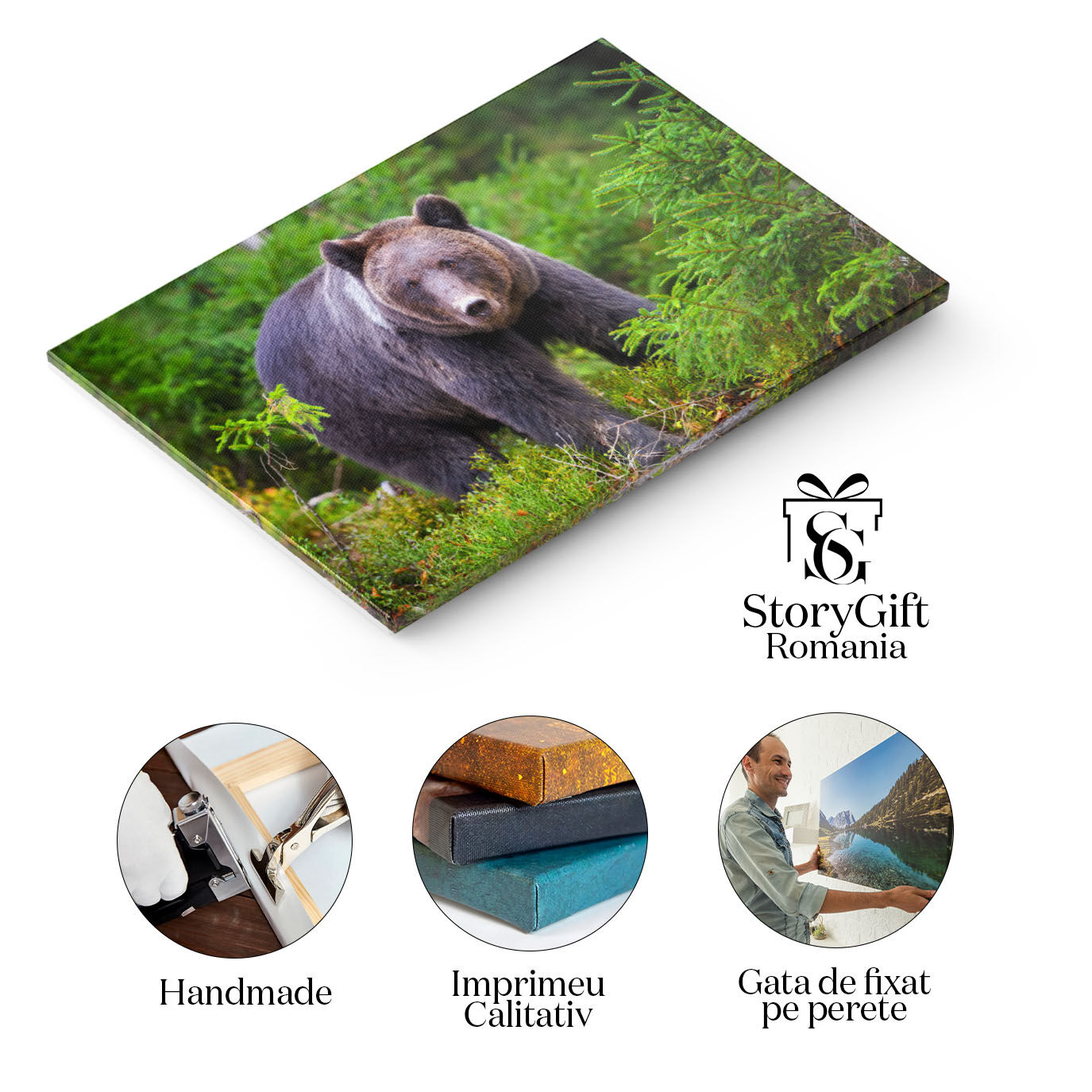 Tablou Canvas: Pauza de Toamna cu Urs Brun in Padure 40x25CM [1]