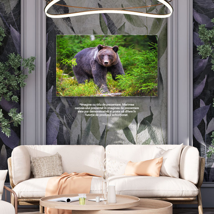 Tablou Canvas: Pauza de Toamna cu Urs Brun in Padure 40x25CM [2]