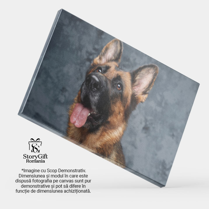 Tablou Canvas Ciobanesc German - Gardian Cu Privire Vigilenta 40x25CM [3]