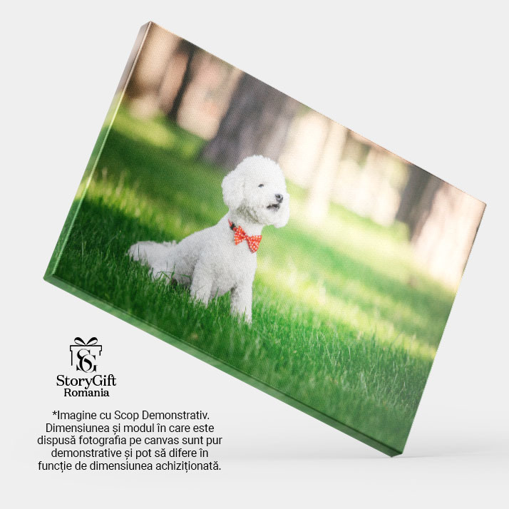 Tablou canvas cu catel, papion, buline, gazon, natura, lumina naturala, multicolor 40x25CM [3]