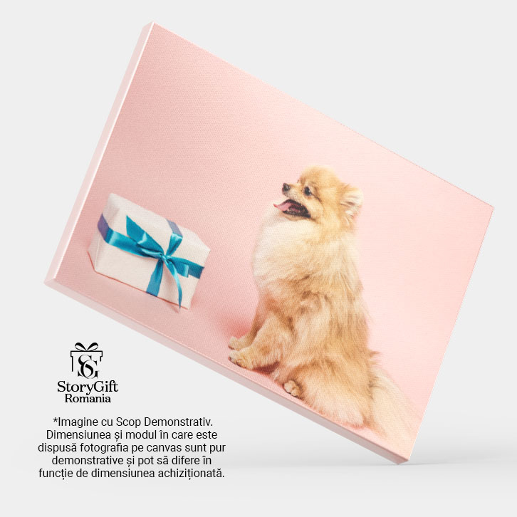 Tablou Canvas Pomeranian Spitz Adorabil cu Cadou de Ziua de Nastere adorabil, Pomeranian, cadou, ziua de nastere, haioas 142 40x25CM [3]