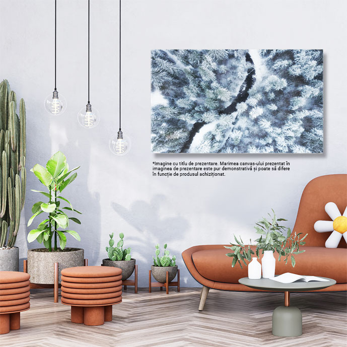 Tablou Canvas Vedere Aeriana la Padurea de Iarna si Raul Inghetat iarna, padure, aerian, rau, gheata 195 40x25CM [2]