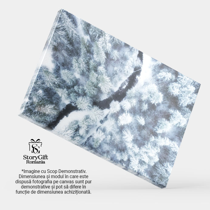 Tablou Canvas Vedere Aeriana la Padurea de Iarna si Raul Inghetat iarna, padure, aerian, rau, gheata 195 40x25CM [3]