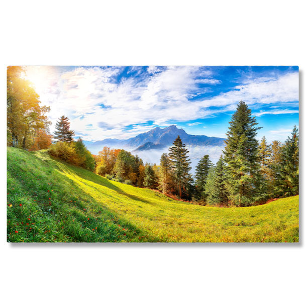 Păduri - Tablou Canvas Padure in Suburbia Stansstad, Elvetia, destinatie, viu, top, Lucerna, lac, toamna, padure, fundal, cer, calatorie, natura, lemn, copac, peisaj 379 40x25CM