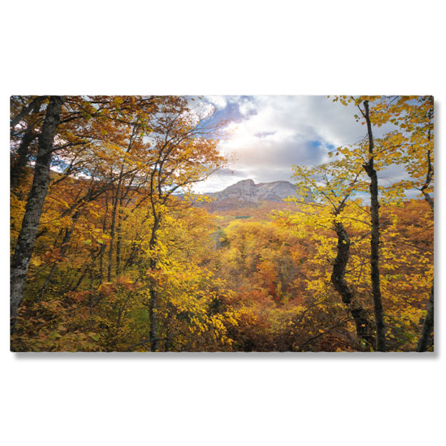 Peisaj - Tablou Canvas Peisaj de Toamna in Padurea Adanca a Muntilor Aventura, toamna, peisaj, natura, padure 607 40x25CM