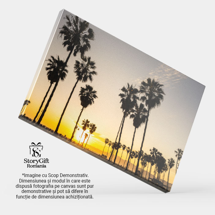 Tablou Canvas Palmieri Retroiluminati la Apus Palmieri, apus, natura, peisaj, relaxare 639 40x25CM [3]