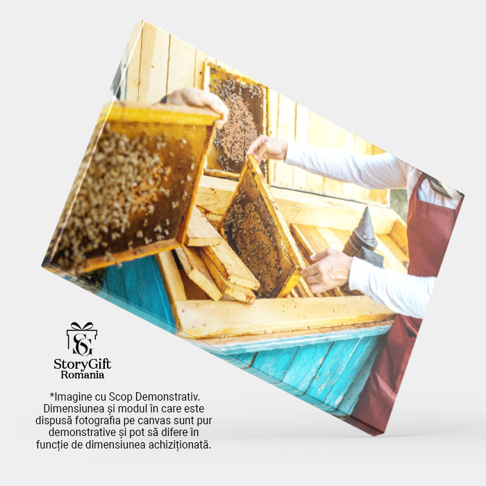 Tablou Canvas Apicultor Lucrand cu Fagurii, stup, albina, fagure, apicultor, natural 817 40x25CM [3]