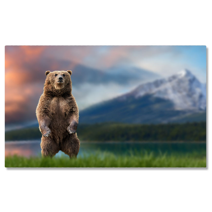 Animale - Tablou canvas cu urs, animal, cer, apus, nori, munte, padure, multicolor 40x25CM