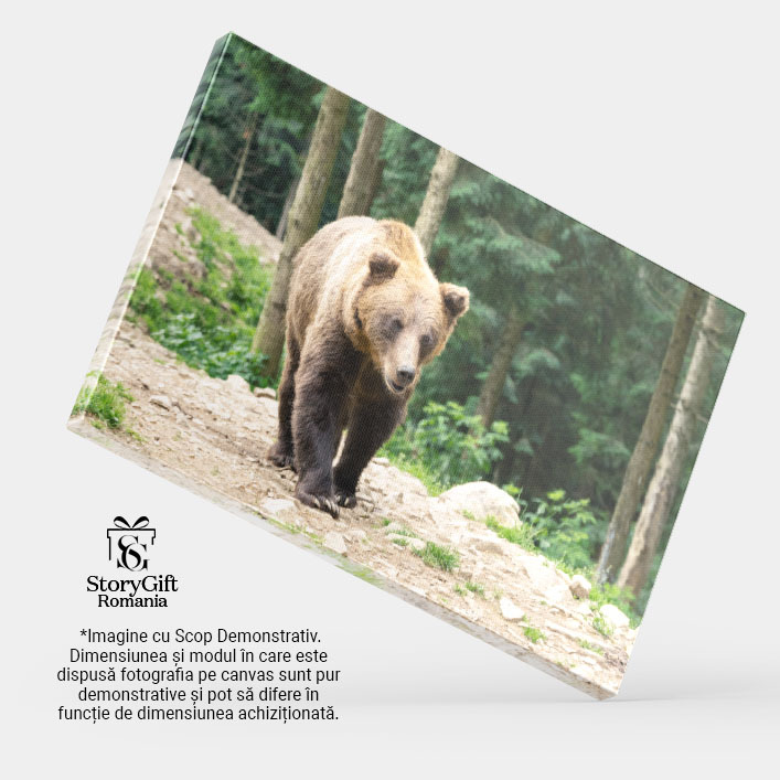 Tablou canvas cu urs, animnal salbatic, padure, pietre, natura, multicolor 40x25CM [3]