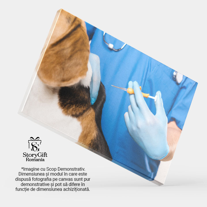 Tablou Canvas Veterinar in Halat Albastru Tinand Siringa Veterinar, Sanatate Animala, Control, Blana, Ingrijire 1287 40x25CM [3]