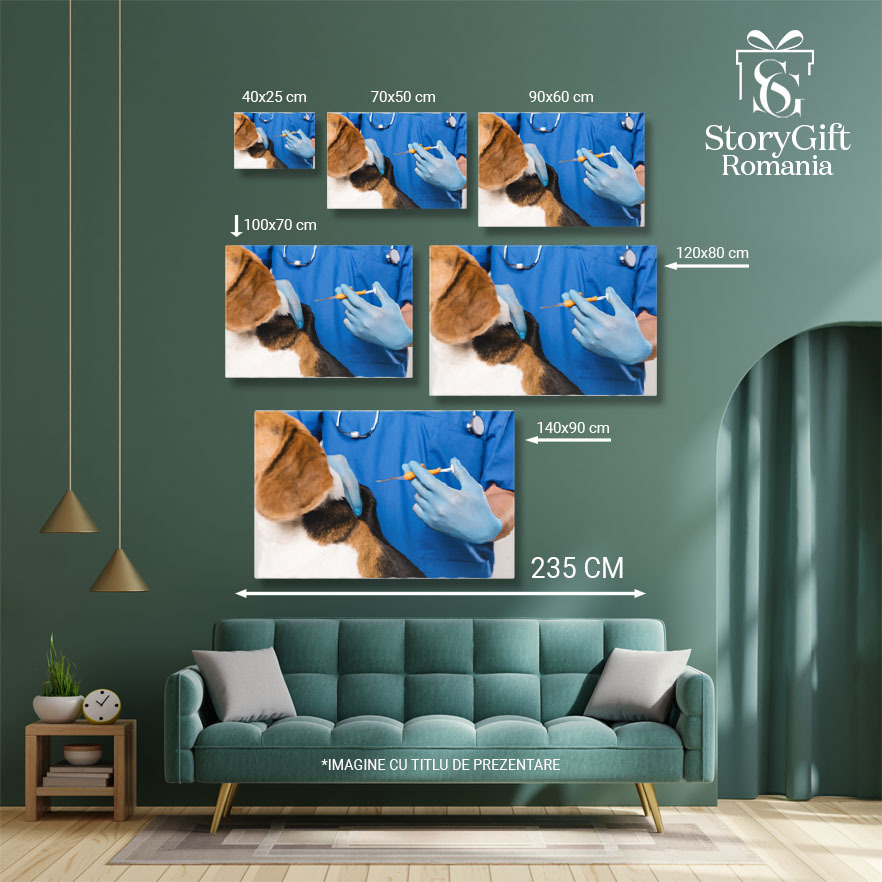 Tablou Canvas Veterinar in Halat Albastru Tinand Siringa Veterinar, Sanatate Animala, Control, Blana, Ingrijire 1287 40x25CM [4]