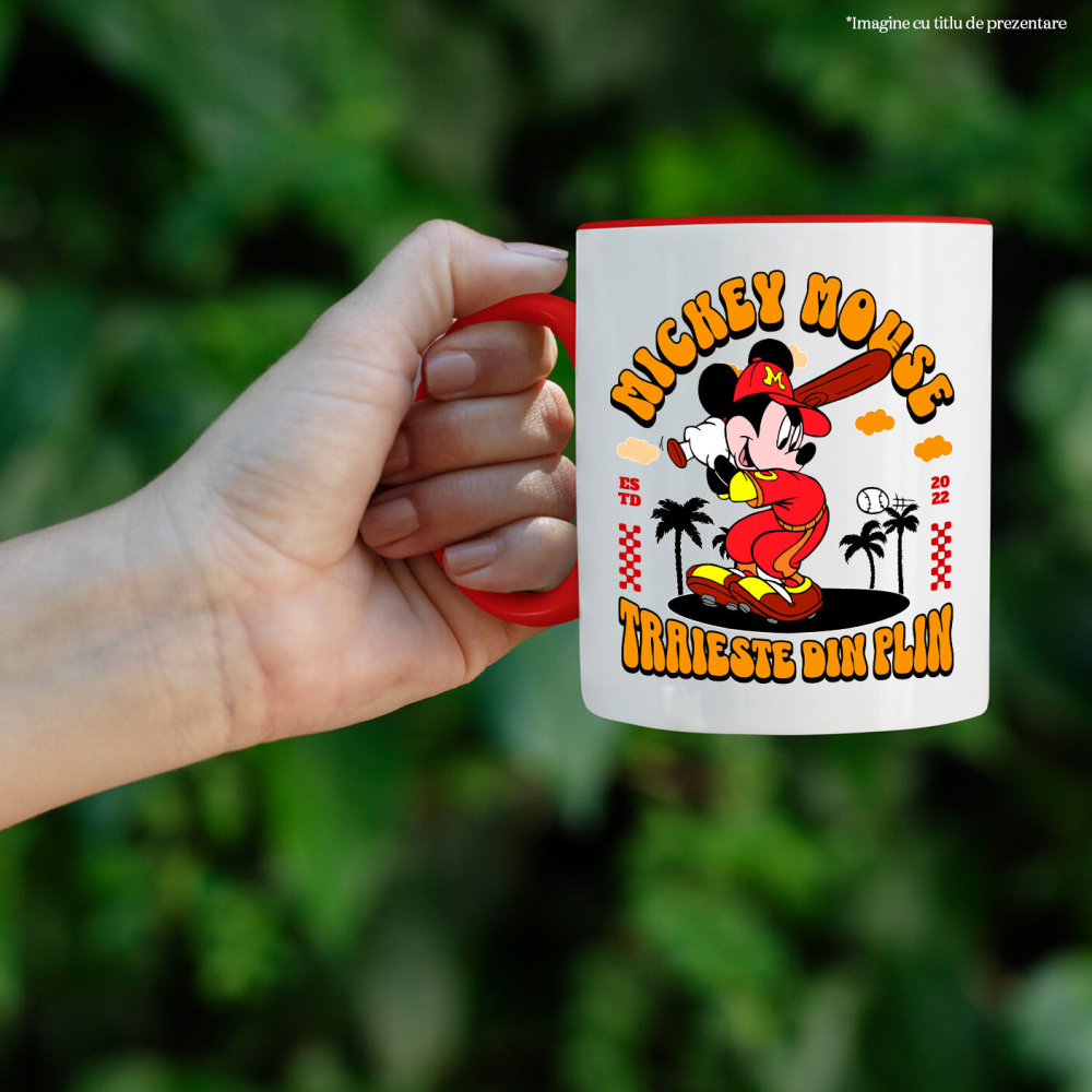 cana-mickey-aventura-teren-ceramica.jpg [2]