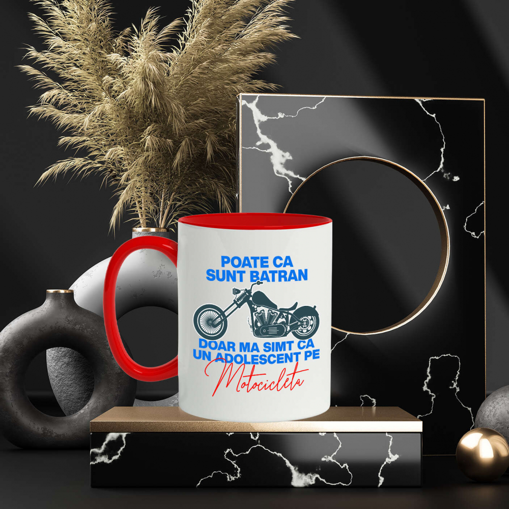 cana-personalizata-motocicleta-vintige.jpg [3]