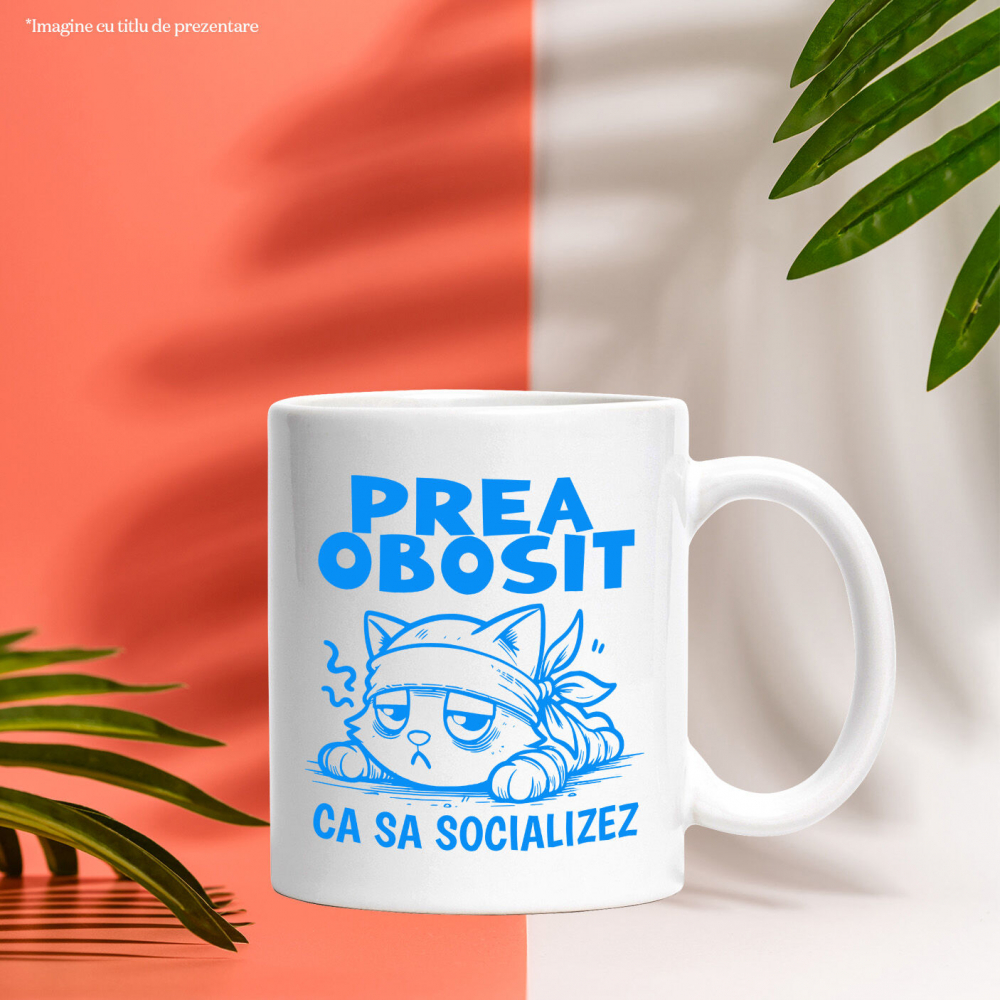 cana-personalizata-pisica-extenuata-trista.jpg [3]