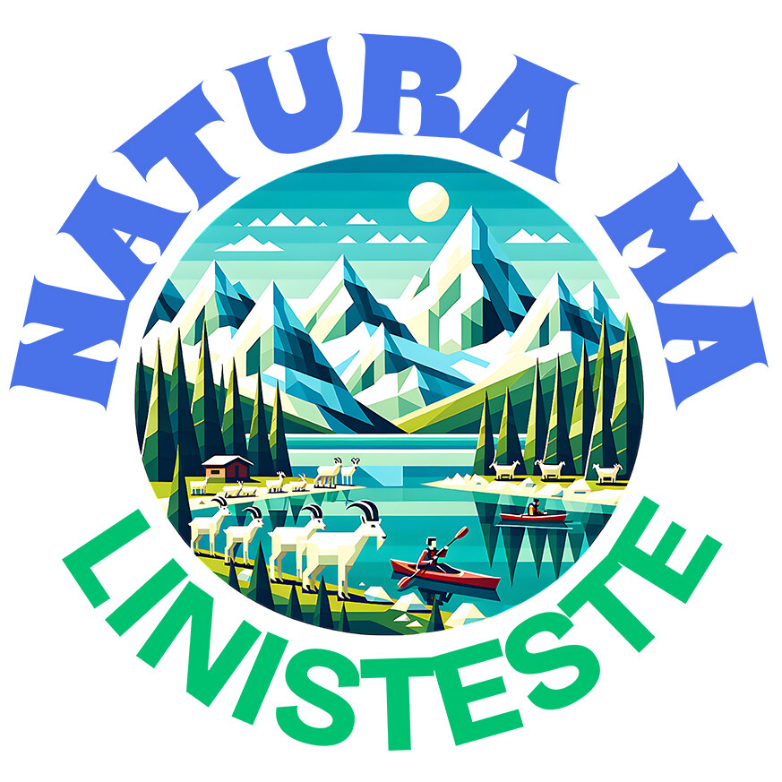 Sticker Adeziv Autocolant Personalizat "Cerc View Montan cu Lac Albastru – Liniște în Natură la Cabana și Pe Lac" [1]