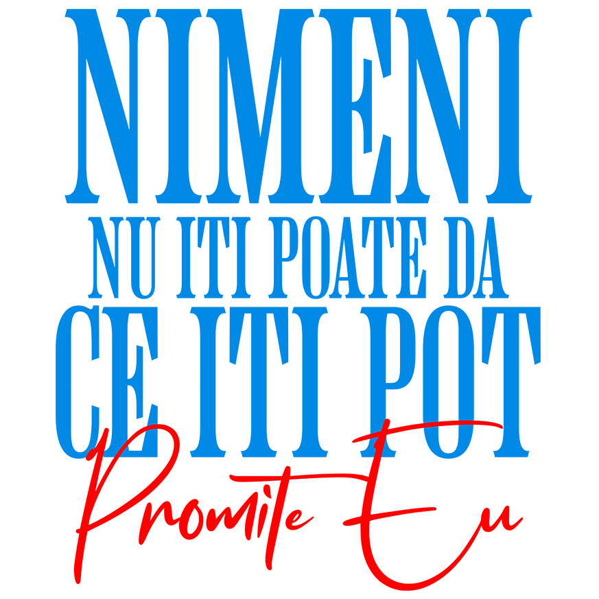 Sticker Adeziv Autocolant Personalizat „Nimeni Nu Îți Poate Da Ce Îți Pot Promite Eu” – Dedicatie Romantică și Cadou Amuzant pentru Iubiți [1]