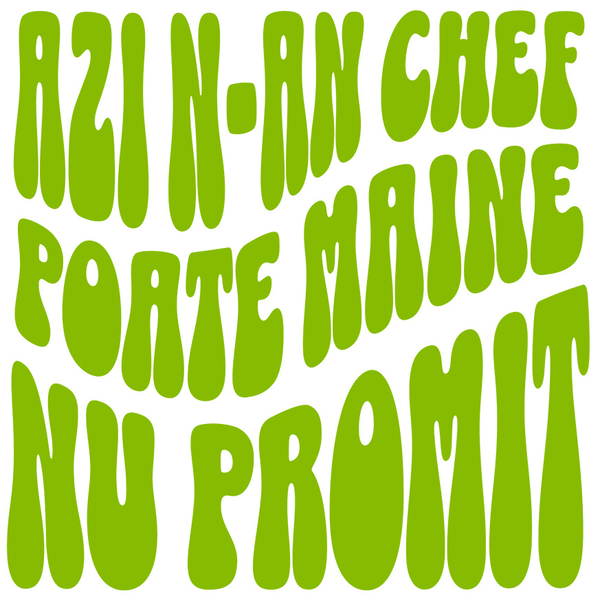 Sticker Adeziv Autocolant Personalizat „Azi N-am Chef, Poate Mâine” – Mesaj Sarcastic și Delăsător pentru Cadouri Personalizate [1]