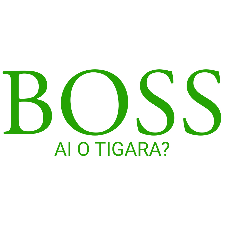 Sticker Adeziv Autocolant Personalizat Logo Firmă Lux „Ai o țigară, fashion milionar” – Mesaj Haios și Cadou Personalizat pentru Bărbați [1]