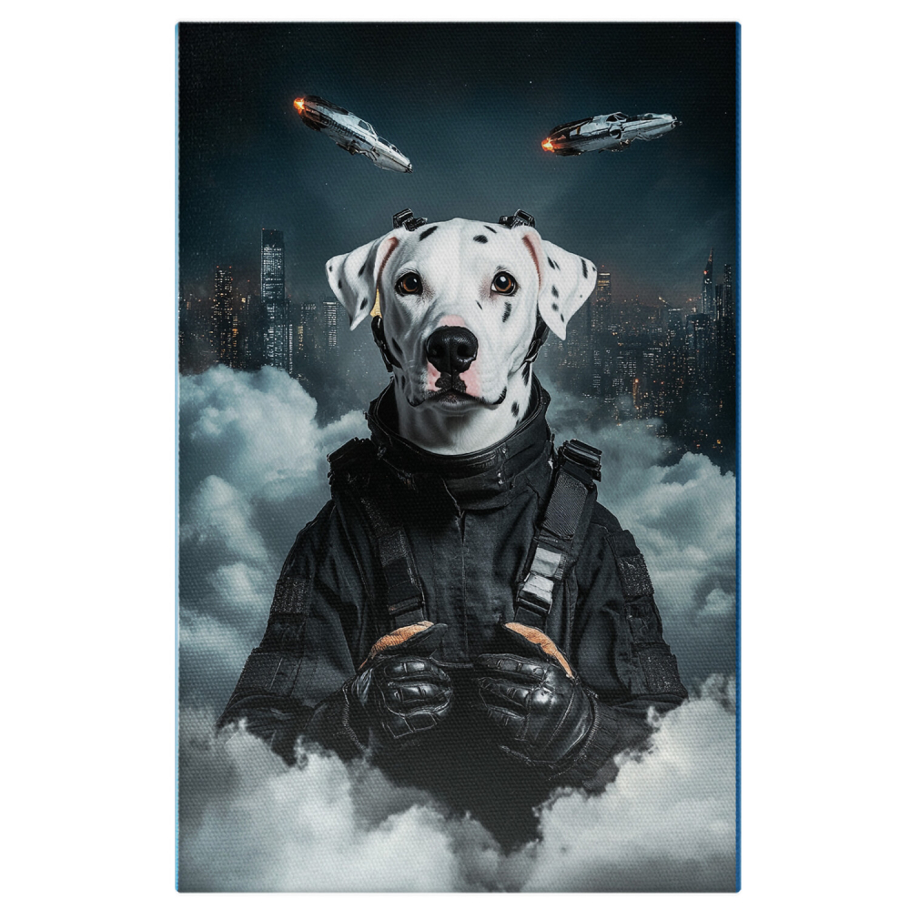 Agent Secret deasupra Orașului în Timp de NoapteMarime 40x25CM [1]