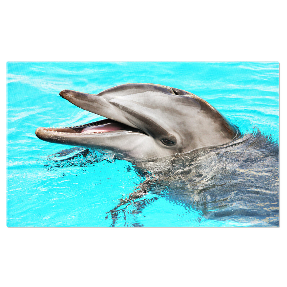 Amici Zâmbitori: Bucuria Jocului în Natură, Marime 40x25CM [1]