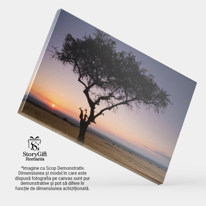 Tablou Canvas: Apus de Soare pe Savana Kenyana - Peisaj African, Silueta, Culoare 40x25CM [4]