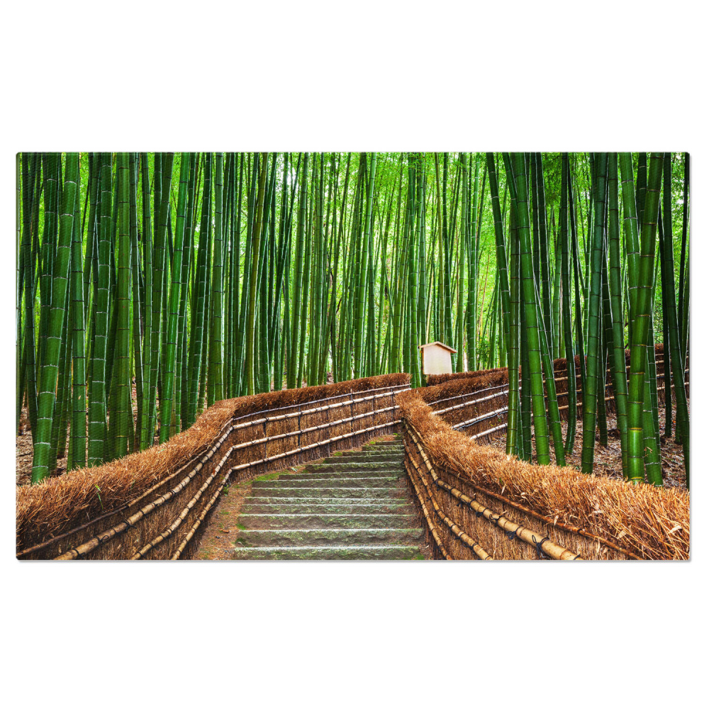 Bamboo Grove în Arashiyama, Kyoto, Japonia, Marime 40x25CM [1]