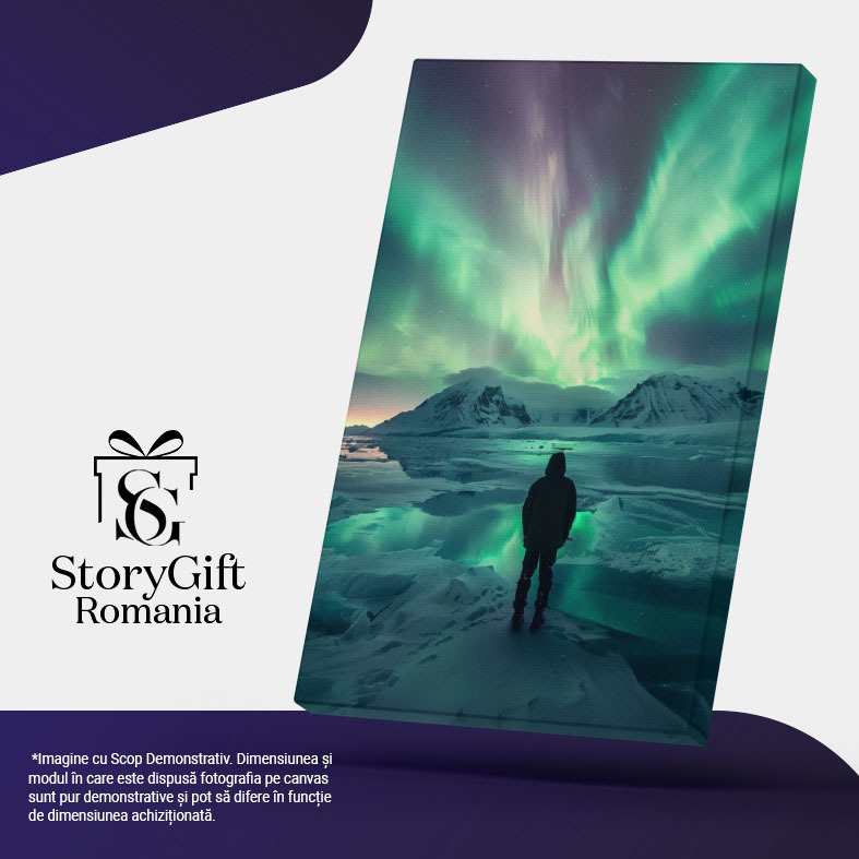 Tablou Canvas:  Barbat Singuratic care se uita catre Imbinarea de Culori ale Cerului la Polul Nord Pictura Digitala 40x25CM [5]