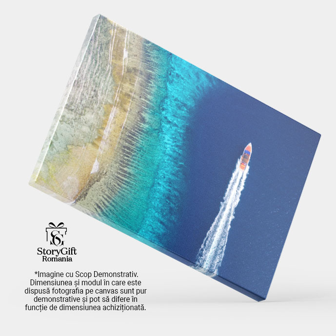 Tablou Canvas Barca Rapida pe Marea Aerala Mare, Barca, Aerial, Var, Ocean 1927 40x25CM [4]