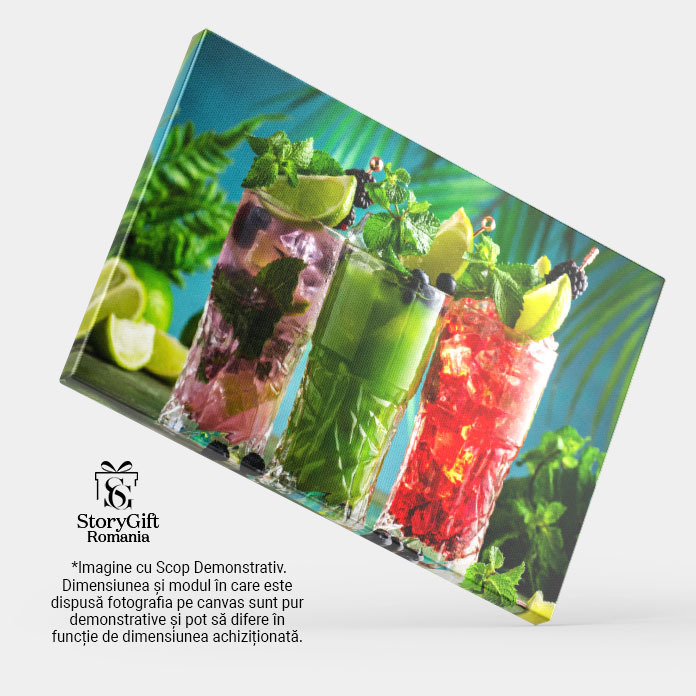 Tablou Canvas: Bauturi Cocktail si Instrumente de Bar 40x25CM [4]