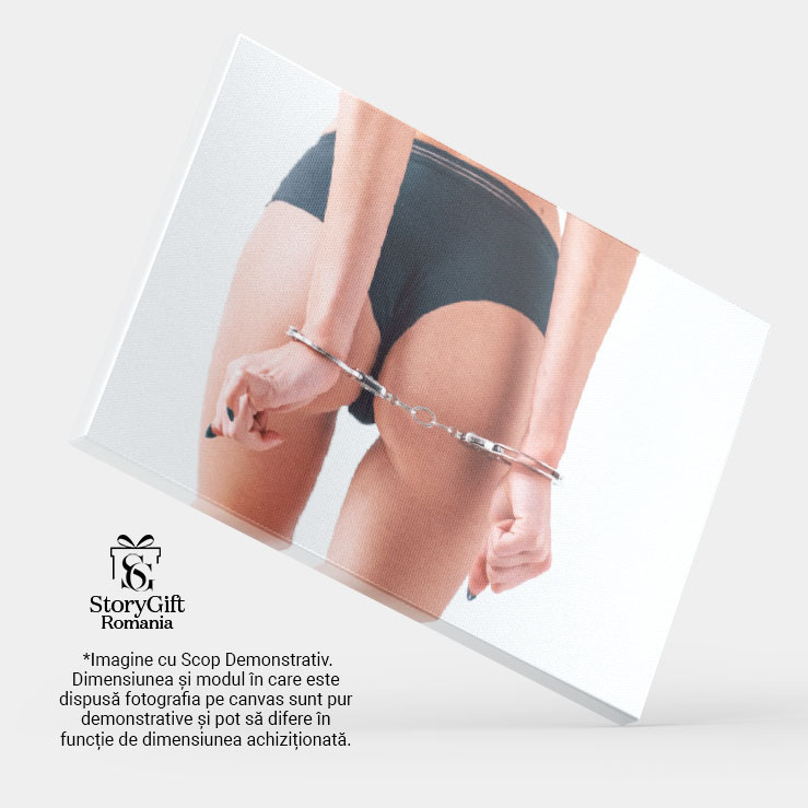 Tablou Canvas: BDSM: in Lumea Fanteziilor si Dorintelor Ascunse 40x25CM [4]