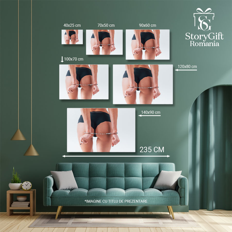 Tablou Canvas: BDSM: in Lumea Fanteziilor si Dorintelor Ascunse 40x25CM [5]