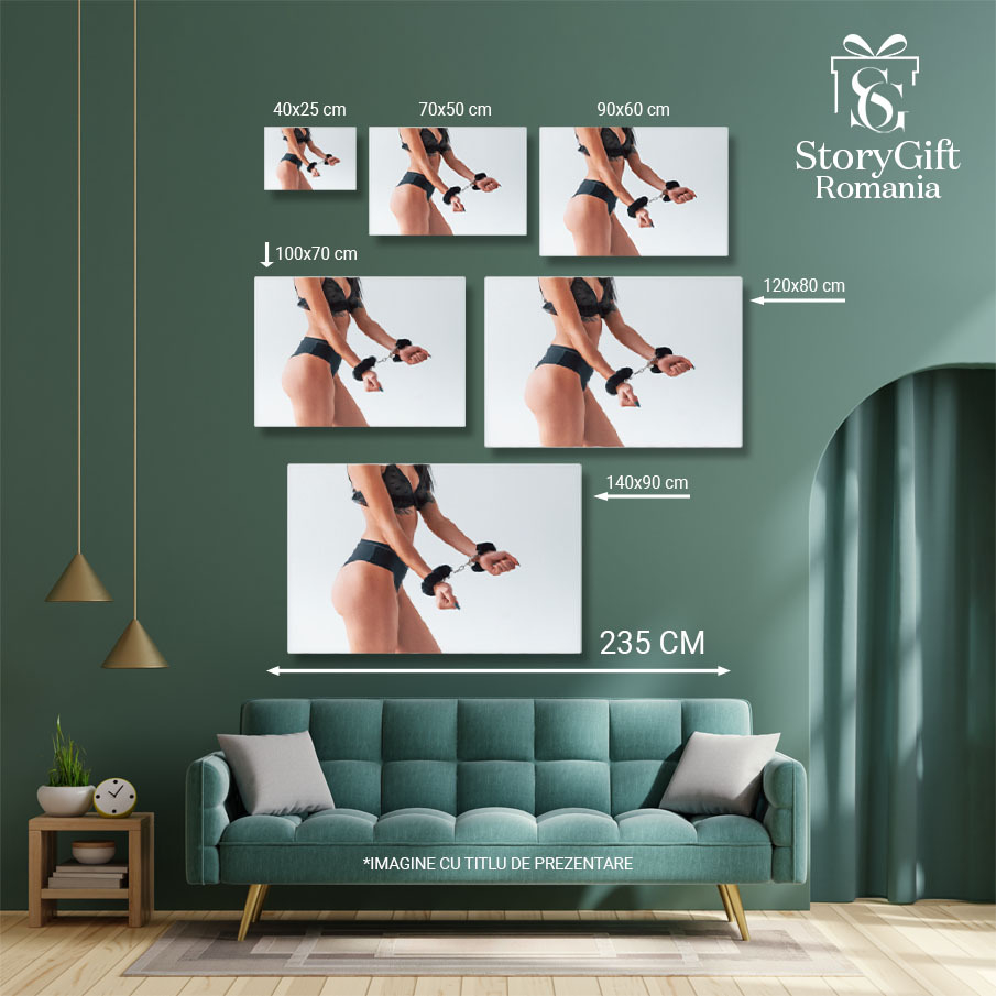 Tablou Canvas: BDSM: Iubire si Tentatie - Jocuri Intime pentru Adulti 40x25CM [5]