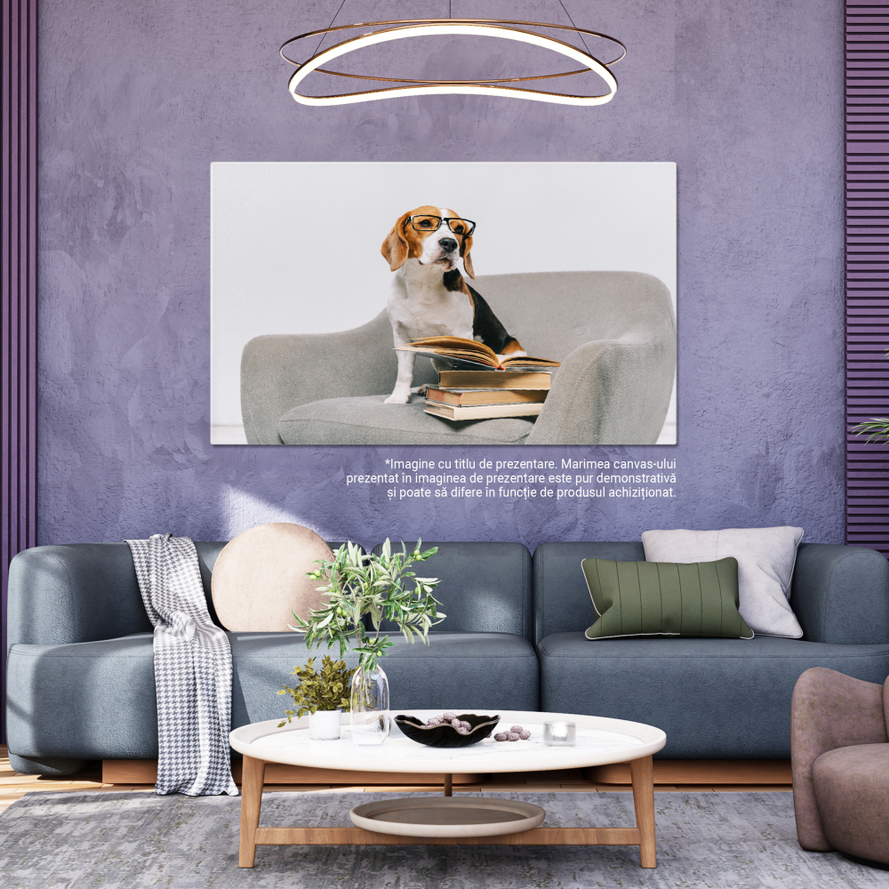 Tablou Canvas Beagle Dragut in Fotoliu cu Carti pe Fundal Gri animal, fotoliu, beagle, carti, dragoste, educare 70x50CM [5]