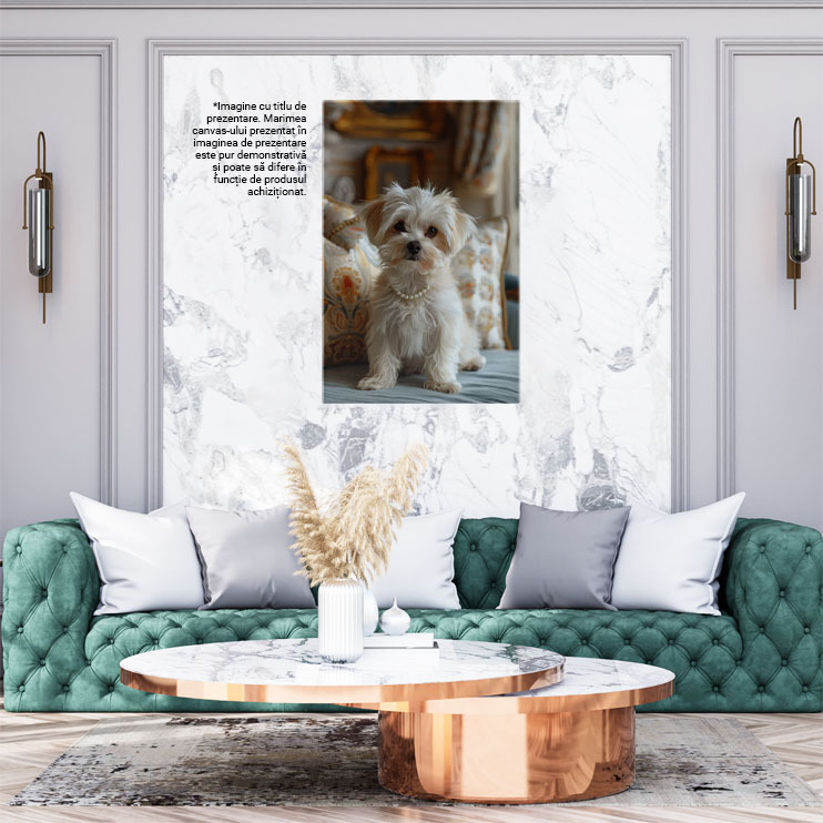 Tablou Canvas Bichon cu perle la gât și ochii ca mărgelele- Câine între perne pe fotoliu albastru , Pictura Digitala 40x25CM [2]