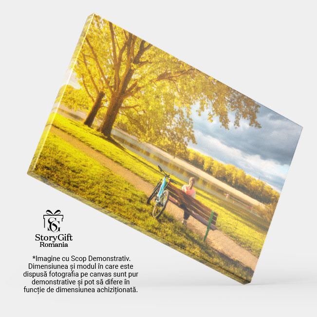 Tablou Canvas - Bicicleta in Toamna: Relaxare la Lacul de Parc 40x25CM [4]