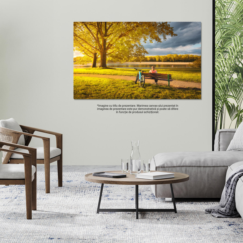 Tablou Canvas Bicicleta în Toamnă: Relaxare la Lacul de Parc, Marime 40x25CM [4]