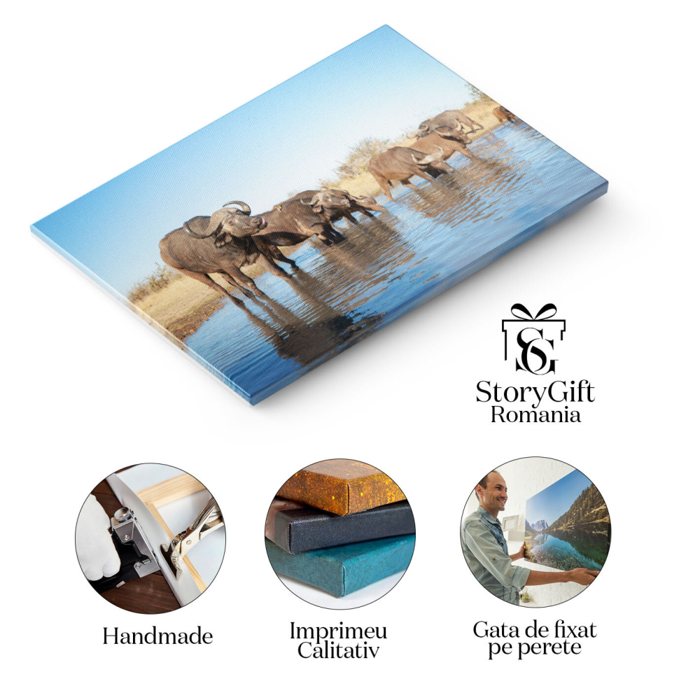 Tablou Canvas: Bivoli de apa domestic In Natura 40x25CM [2]