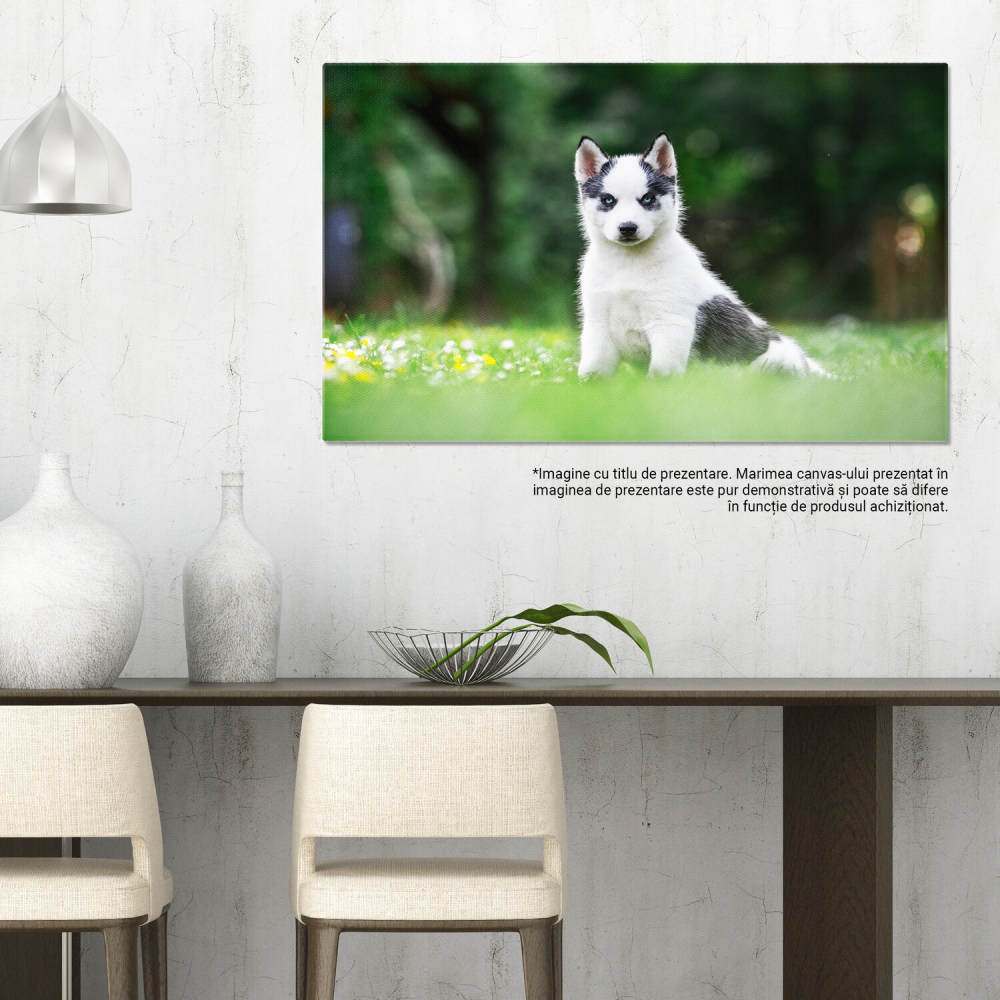 Câine Alb Mic, Rasă Husky Siberian - Prietenul Ideal în Natură, Marime 40x25CM [3]