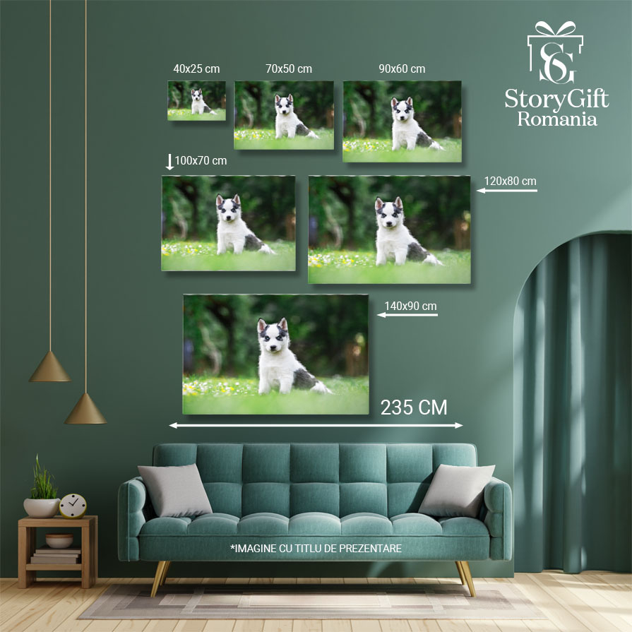 Tablou Canvas Caine Alb Mic, Rasa Husky Siberian, animal de companie, husky, gradina, natura 92 40x25CM [5]