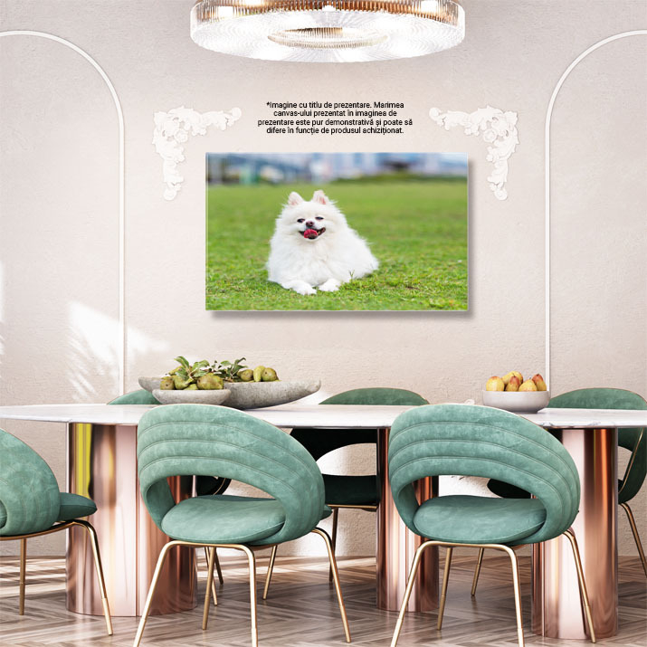 Tablou Canvas Caine Pomeranian pe iarba verde Pomeranian, Iarba Verde, Natura, Animal, Fericire 3599 40x25CM [3]