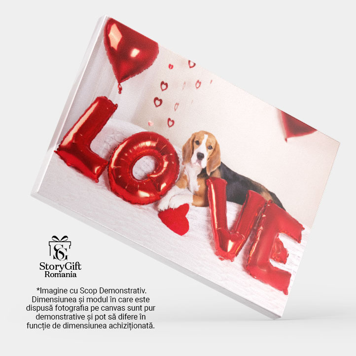Tablou Canvas Cainele Beagle sta pe pat intr-o camera decorata, caine, Beagle, iubire, prezent, inima 4475 40x25CM [4]