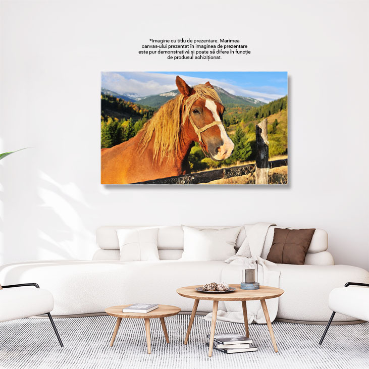 Tablou Canvas - Cal in Carpati: Pasune, Peisaj, Natura, Cer si Nouri 40x25CM [3]