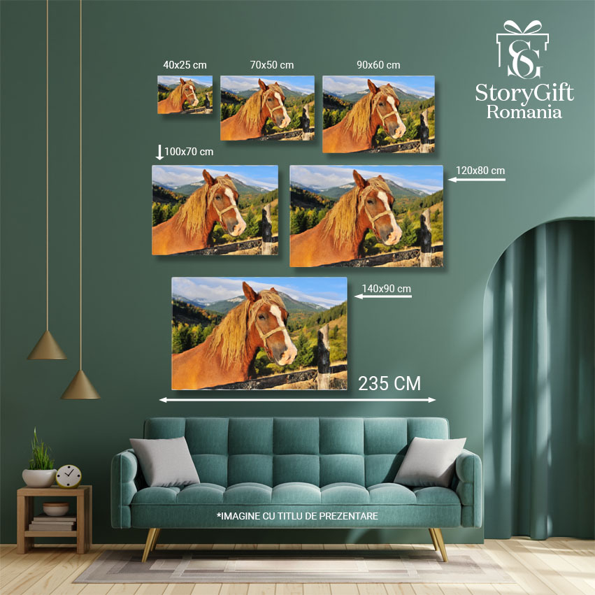 Tablou Canvas - Cal in Carpati: Pasune, Peisaj, Natura, Cer si Nouri 40x25CM [5]